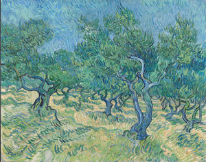 Artwork Olive Grove 1889